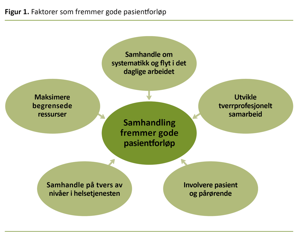 Figur 1. Faktorer som fremmer gode pasientforløp Figur 1. Faktorer som fremmer gode pasientforløp