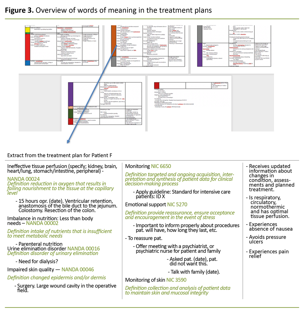 Figure 3. Overview of words of meaning in the treatment plans