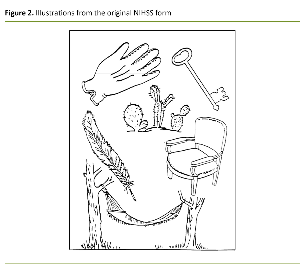 Figure 2. Illustrations from the original NIHSS form