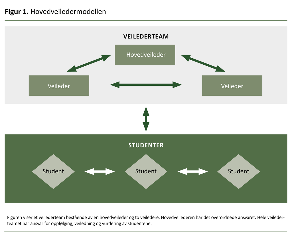 Figur 1. Hovedveiledermodellen.