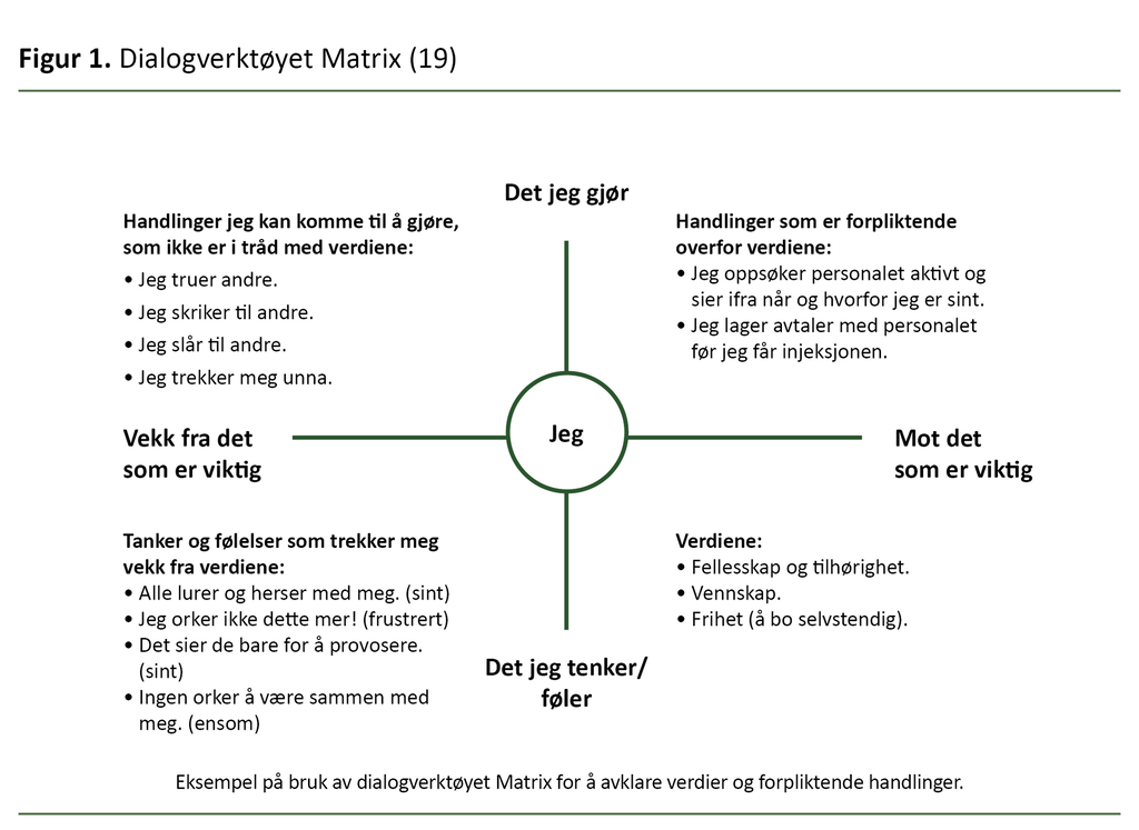 Figur 1. Dialogverktøyet Matrix (19)