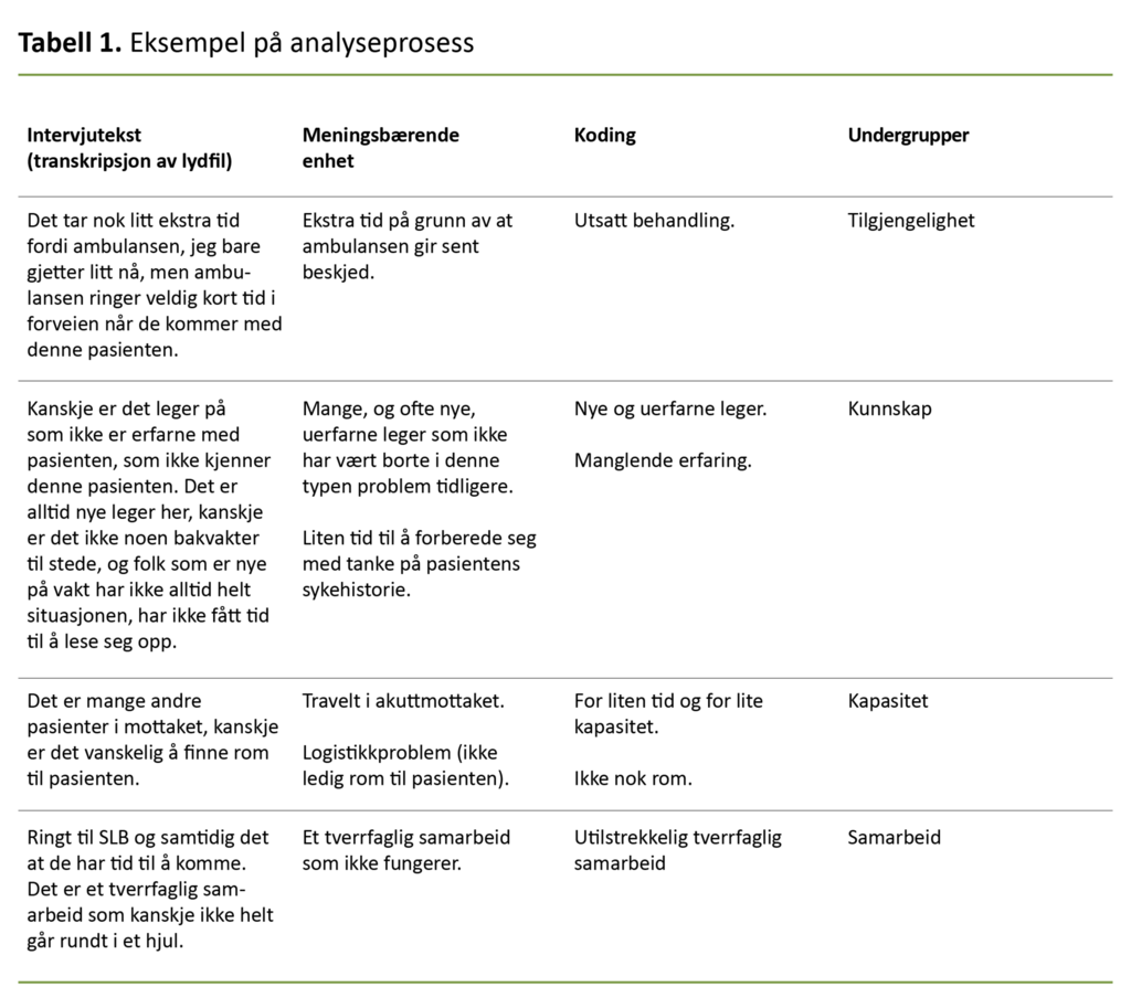 Tabell 1. Eksempel på analyseprosess