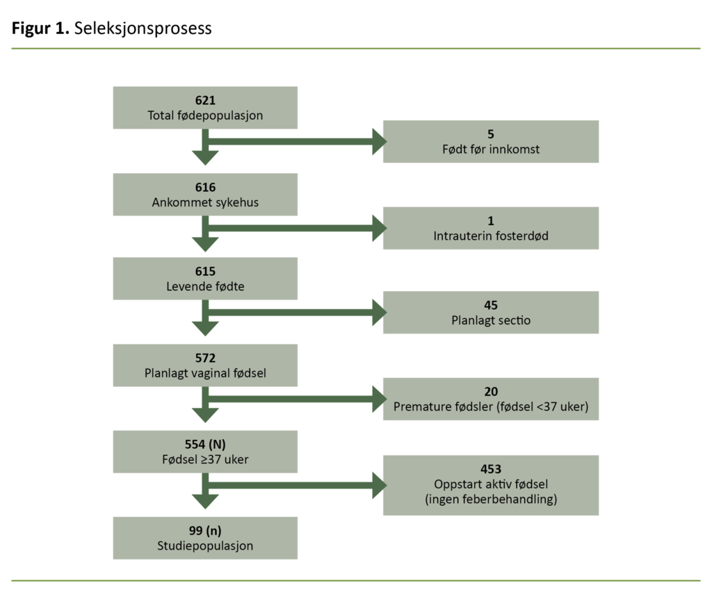 Figur 1. Seleksjonsprosess