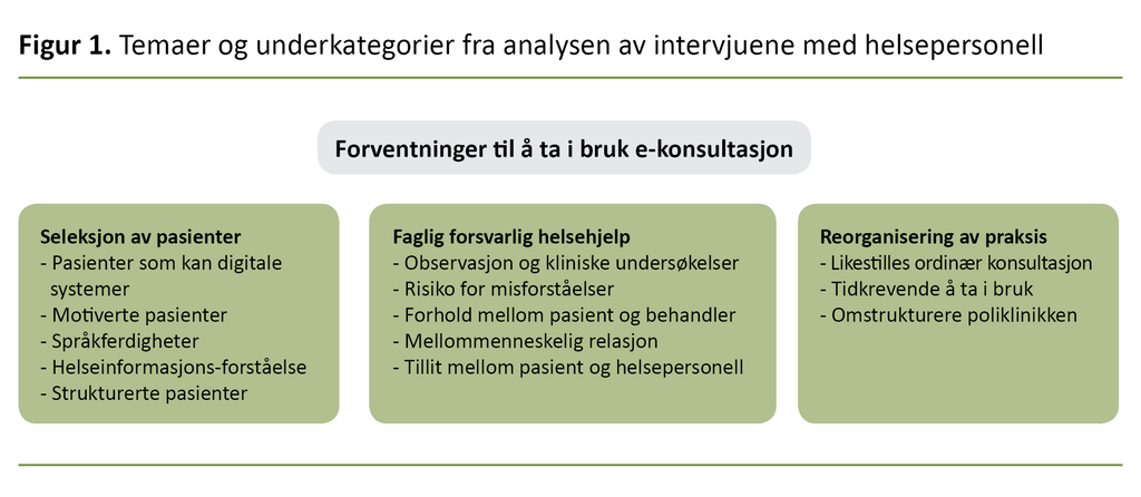 Figur 1. Temaer og underkategorier fra analysen av intervjuene med helsepersonell
