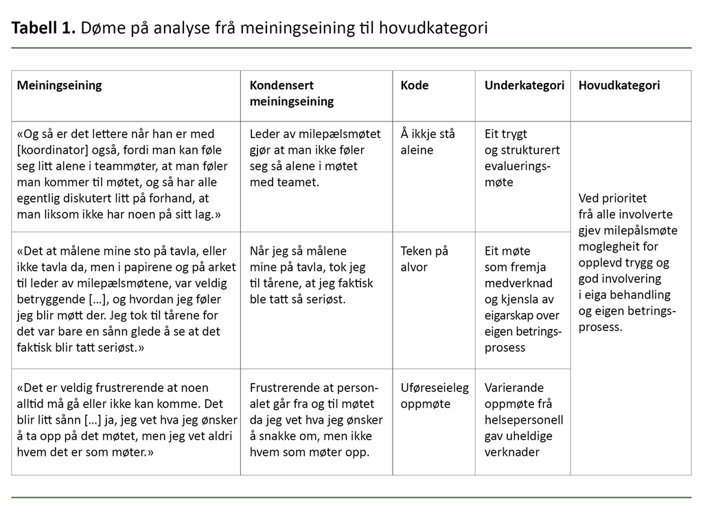 Tabell 1. Døme på analyse frå meiningseining til hovudkategori