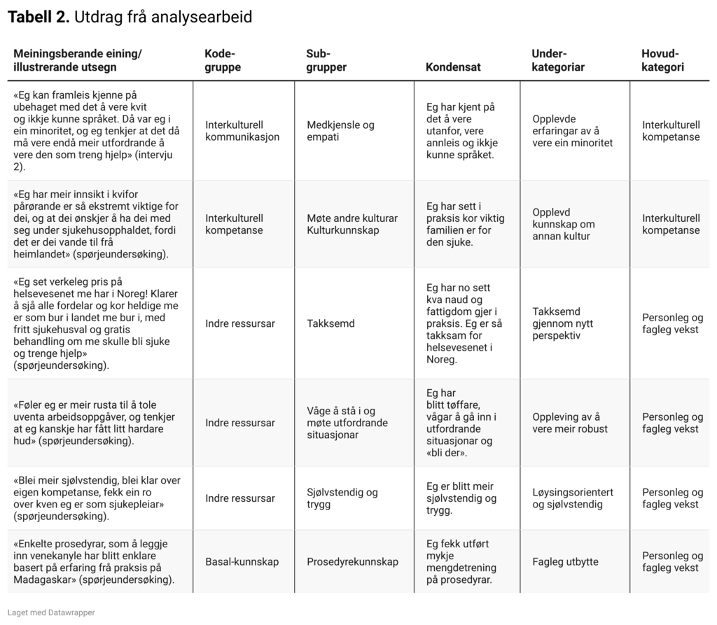 Tabell 2. Utdrag frå analysearbeid