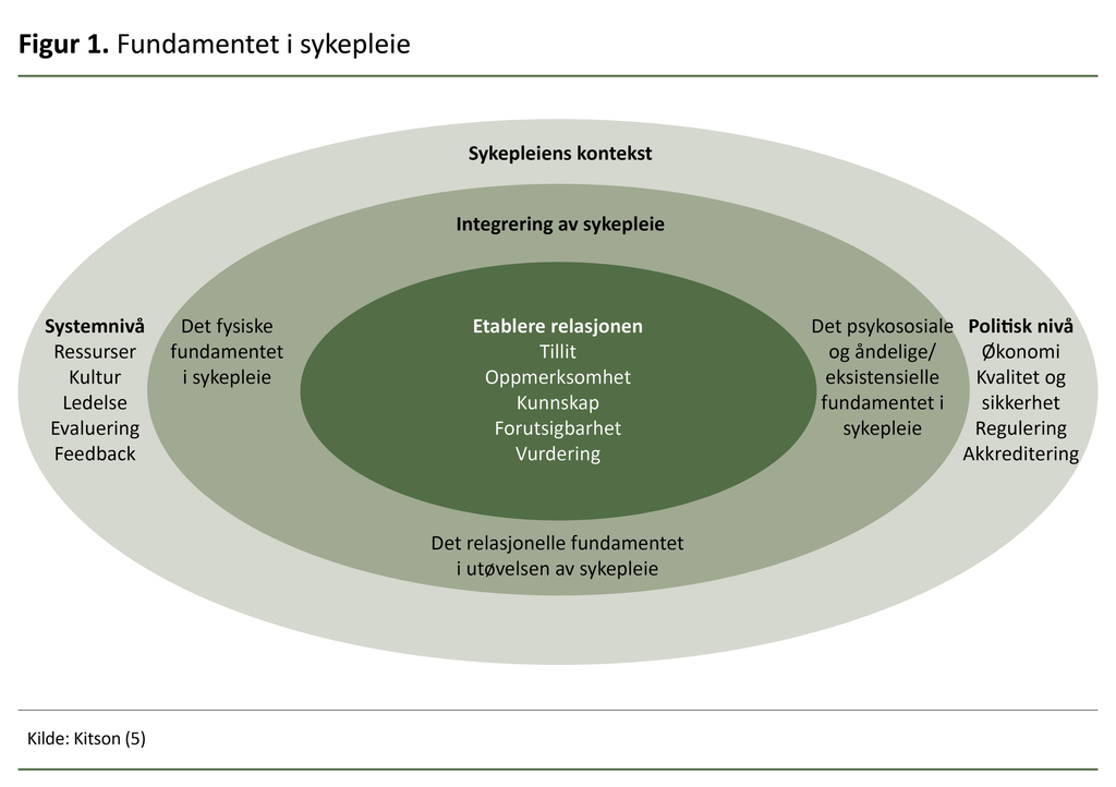Figur 1. Fundamentet i sykepleie