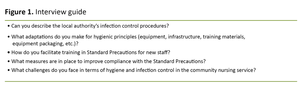 Figure 1. Interview guide