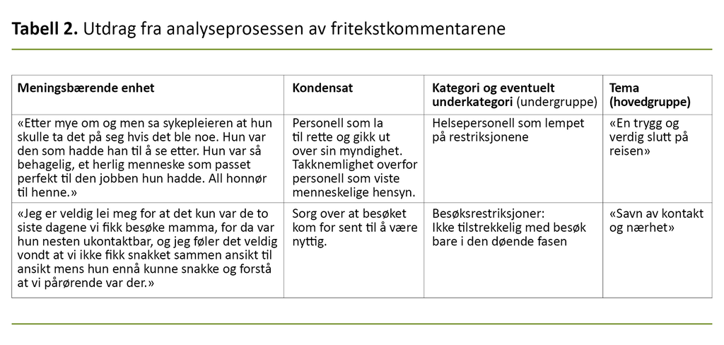 Tabell 2. Utdrag fra analyseprosessen av fritekstkommentarene