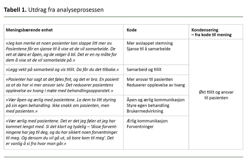 Tabell 1. Utdrag fra analyseprosessen