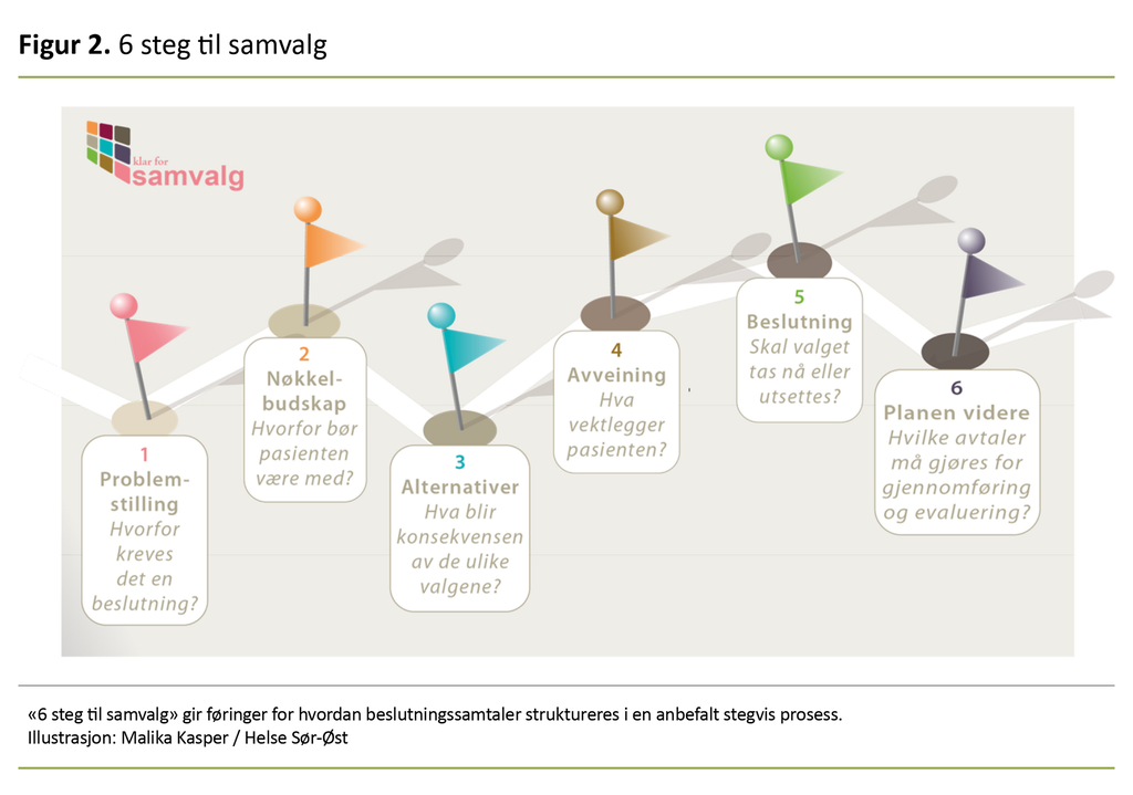 Figur 2. 6 steg til samvalg 