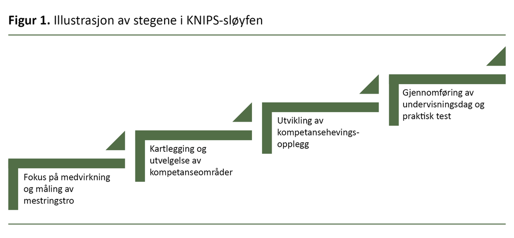 Figur 1. Illustrasjon av stegene i KNIPS-sløyfen.