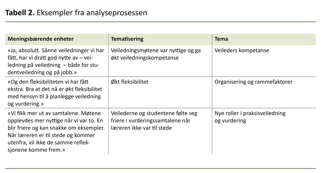 Tabell 2. Eksempler fra analyseprosessen