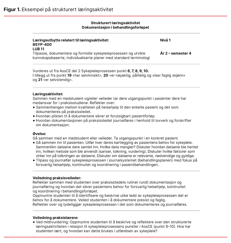 Figur 1. Eksempel på strukturert læringsaktivitet