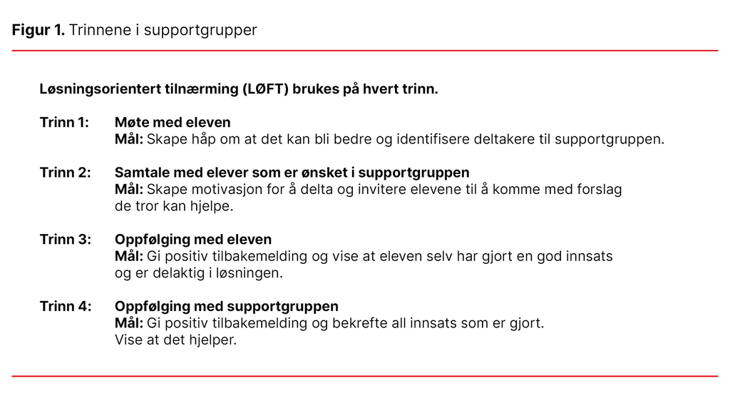 Figur 1. Trinnene i supportgrupper