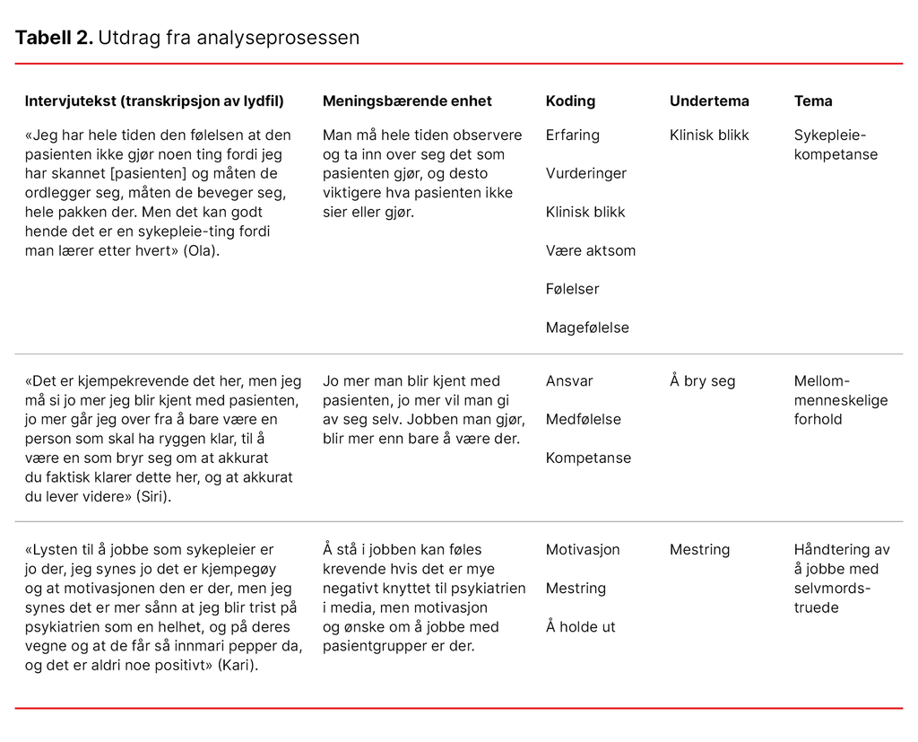 Tabell 2. Utdrag fra analyseprosessen