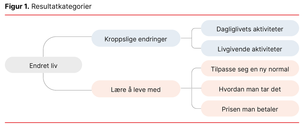 Figur 1. Resultatkategorier 