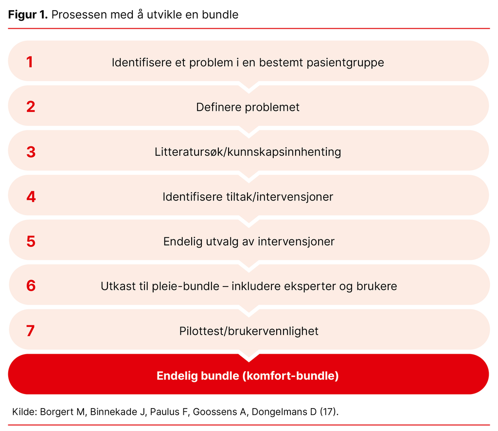 Figur 1. Prosessen med å utvikle en bundle