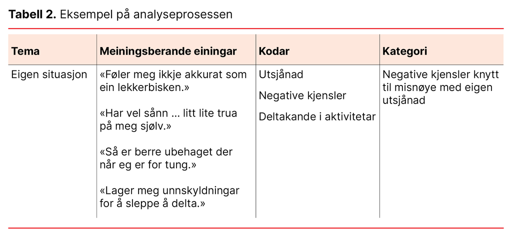 Tabell 2. Eksempel på analyseprosessen 