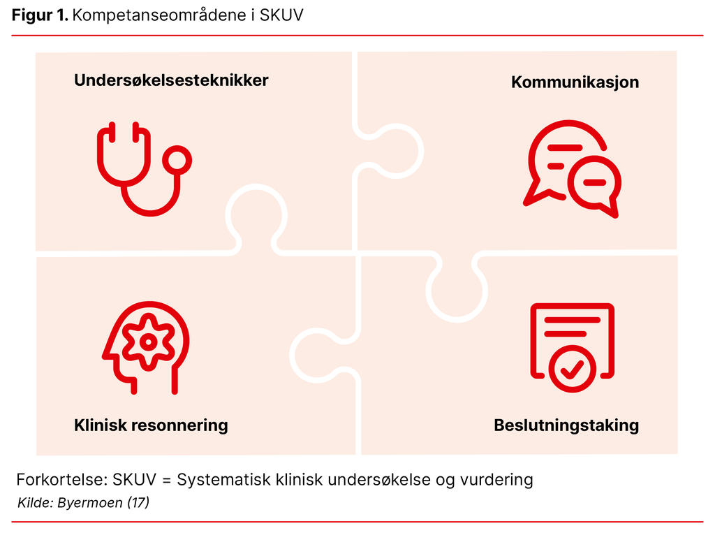 Figur 1. Kompetanseområdene i SKUV