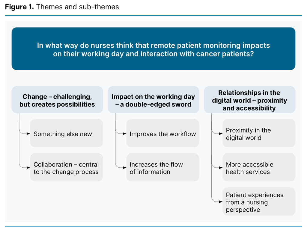 Figure 1. Themes and sub-themes