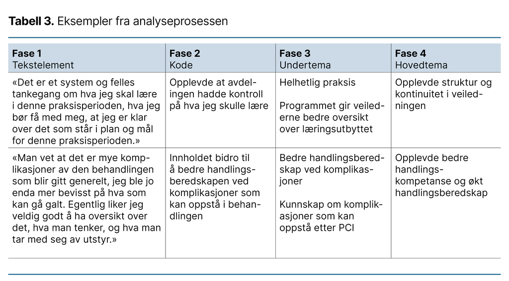 Tabell 3. Eksempler fra analyseprosessen 