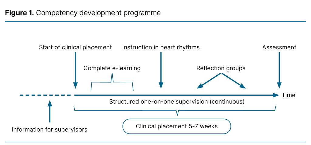 Figure 1. Competency development programme