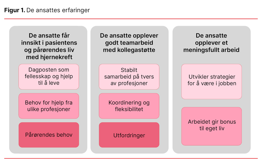 Bildet viser figur 1, de ansattes erfaringer.