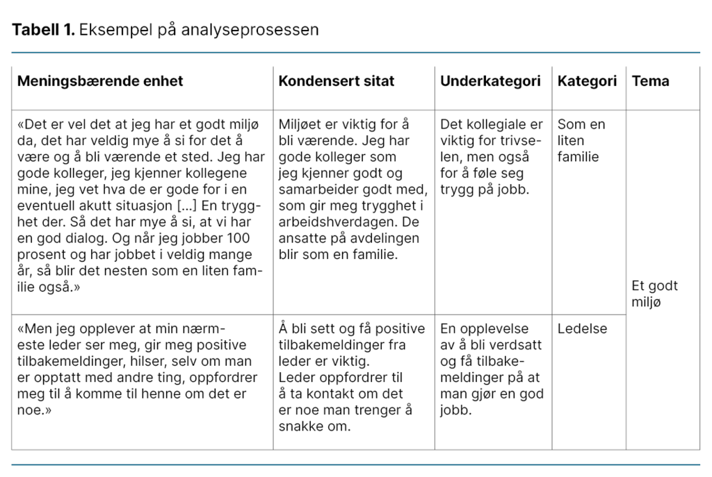Tabell 1. Eksempel på analyseprosessen  