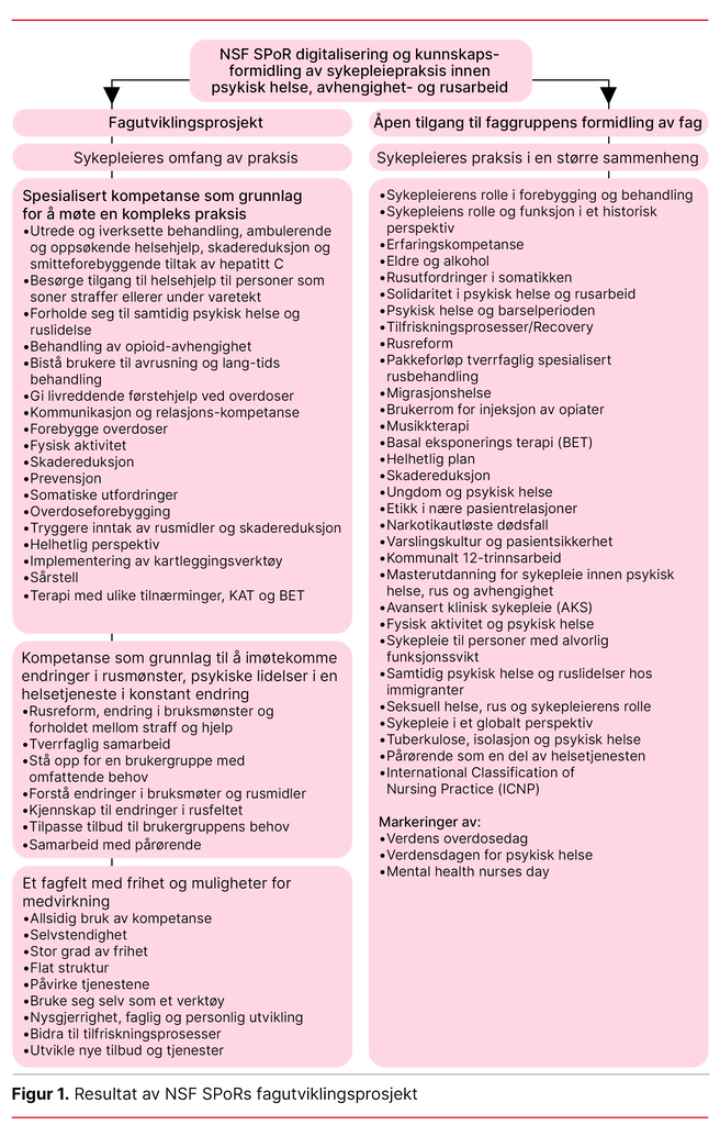 Figur 1. Resultat av NSF SPoRs fagutviklingsprosjekt