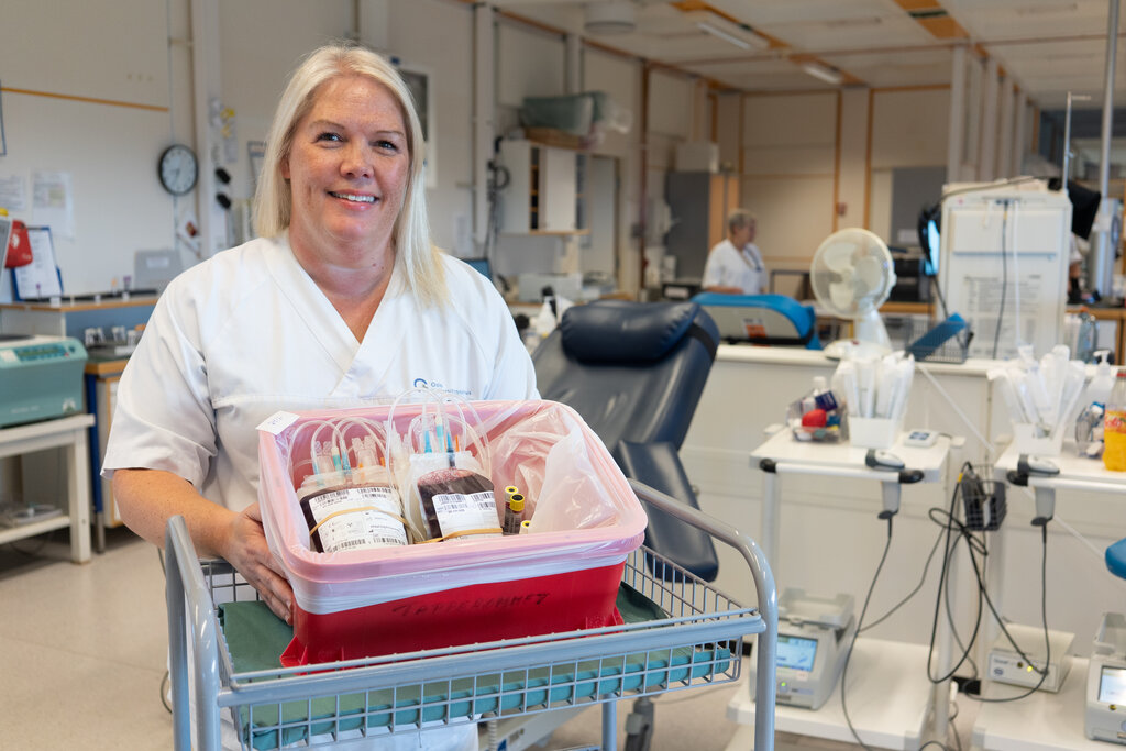 bildet viser Torill Askjem Aae