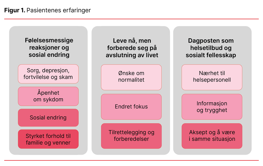 Figur 1. Pasientenes erfaringer
