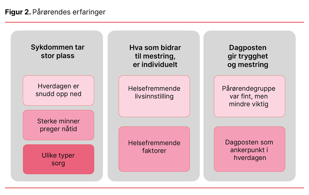 Figur 2. Pårørendes erfaringer