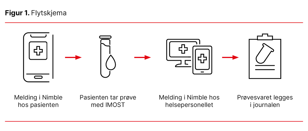 Figur 1. Flytskjema