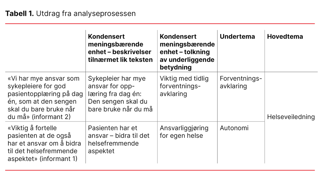 Tabell 1. Utdrag fra analyseprosessen