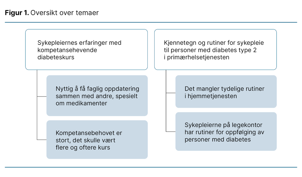 Figur 1. Oversikt over temaer