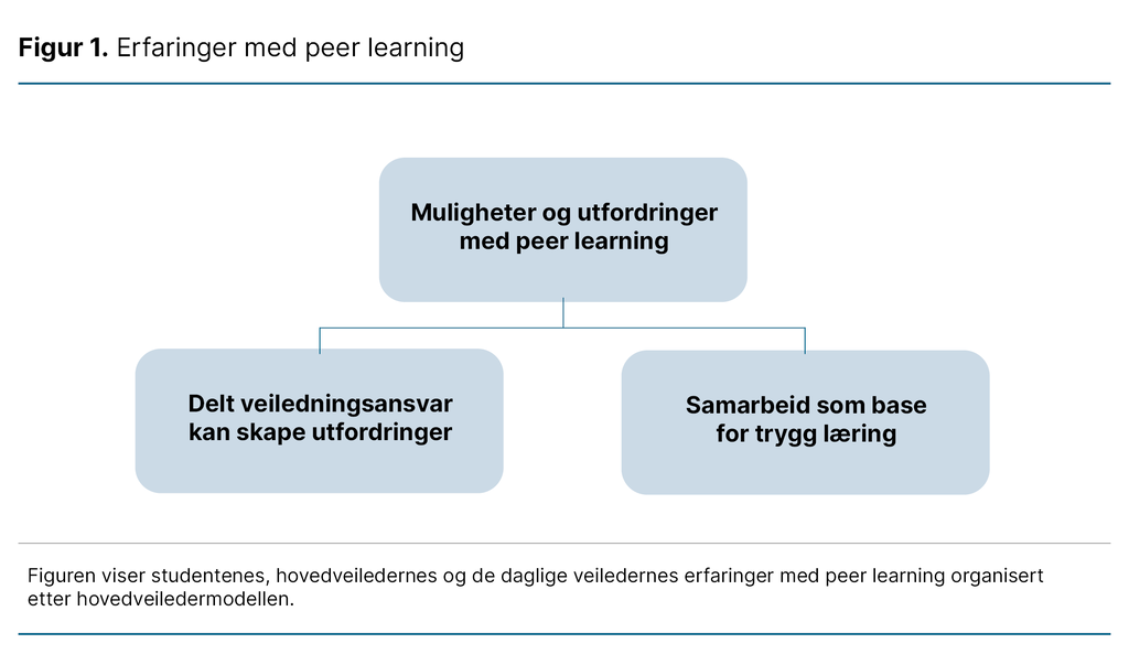 Figur 1. Erfaringer med peer learning  