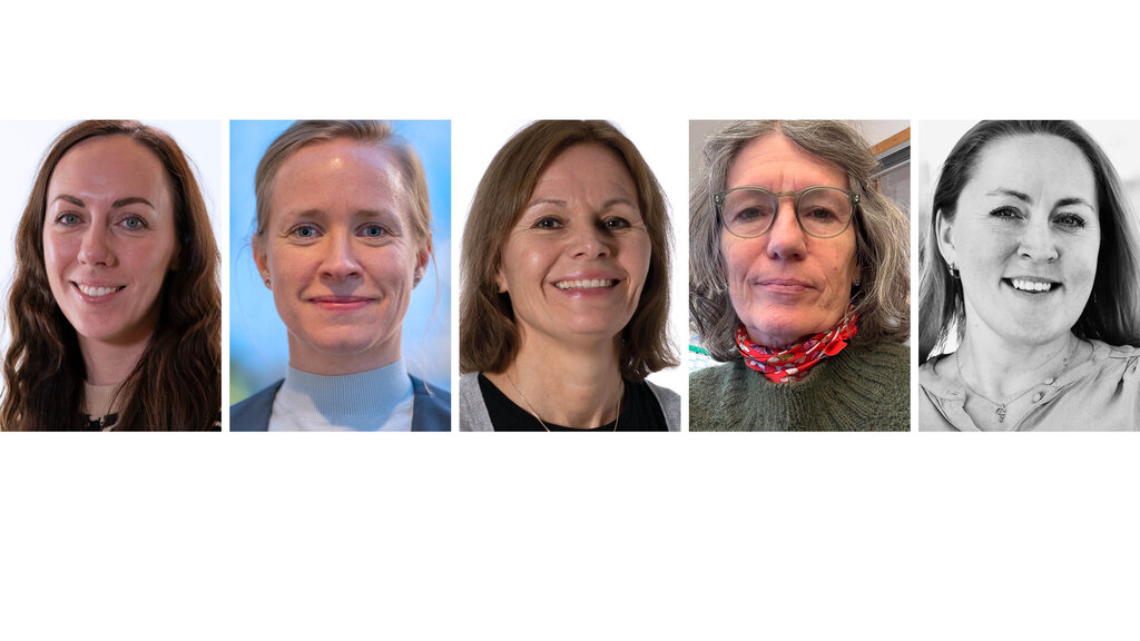 Andersen, Nedberg, Laholt, Clancy, Hovden