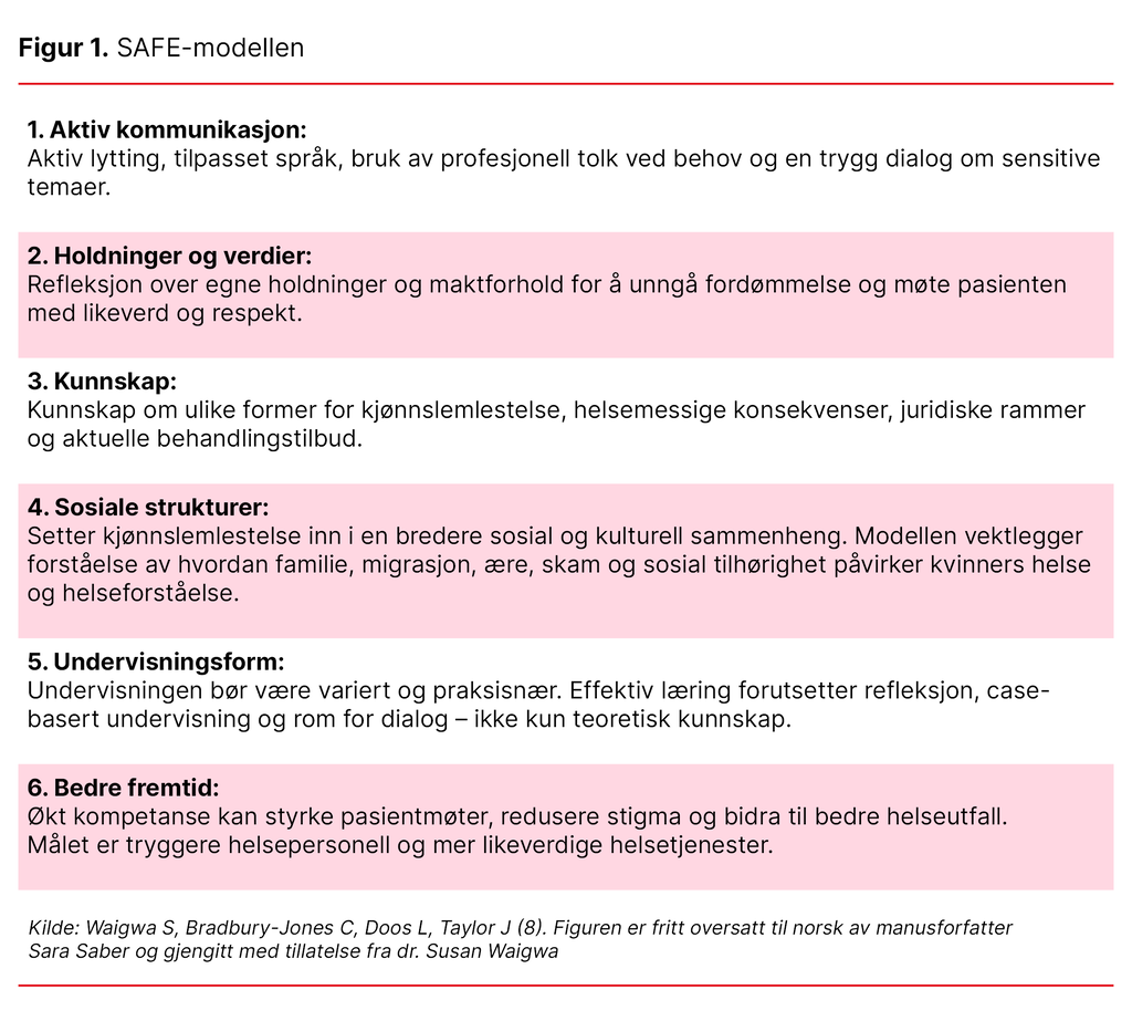 Figur 1. SAFE-modellen