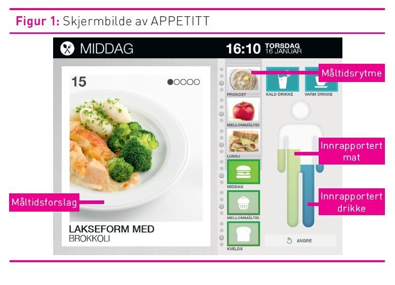 Figur 1, skjermbilde av APPETITT