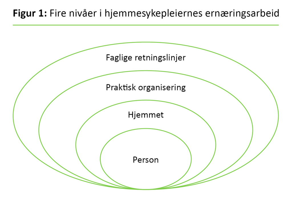 Figur 1. Fire nivåer i hjemmesykepleiernes ernæringsarbeid