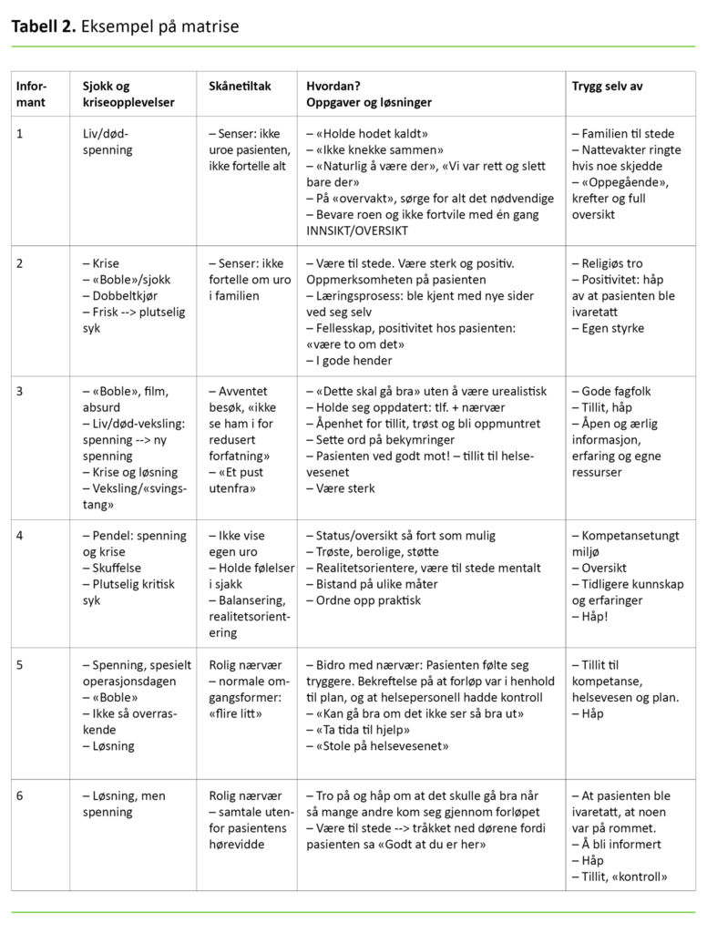 Tabell 2. Eksempel på matrise