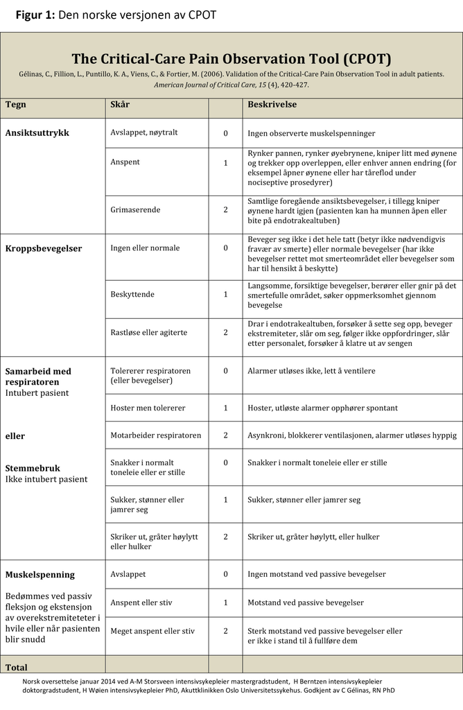 Figur 1: Den norske versjonen av CPOT