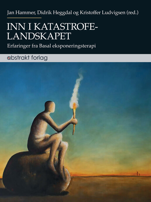 Bokomslag Inn i katastrofelandskapet
