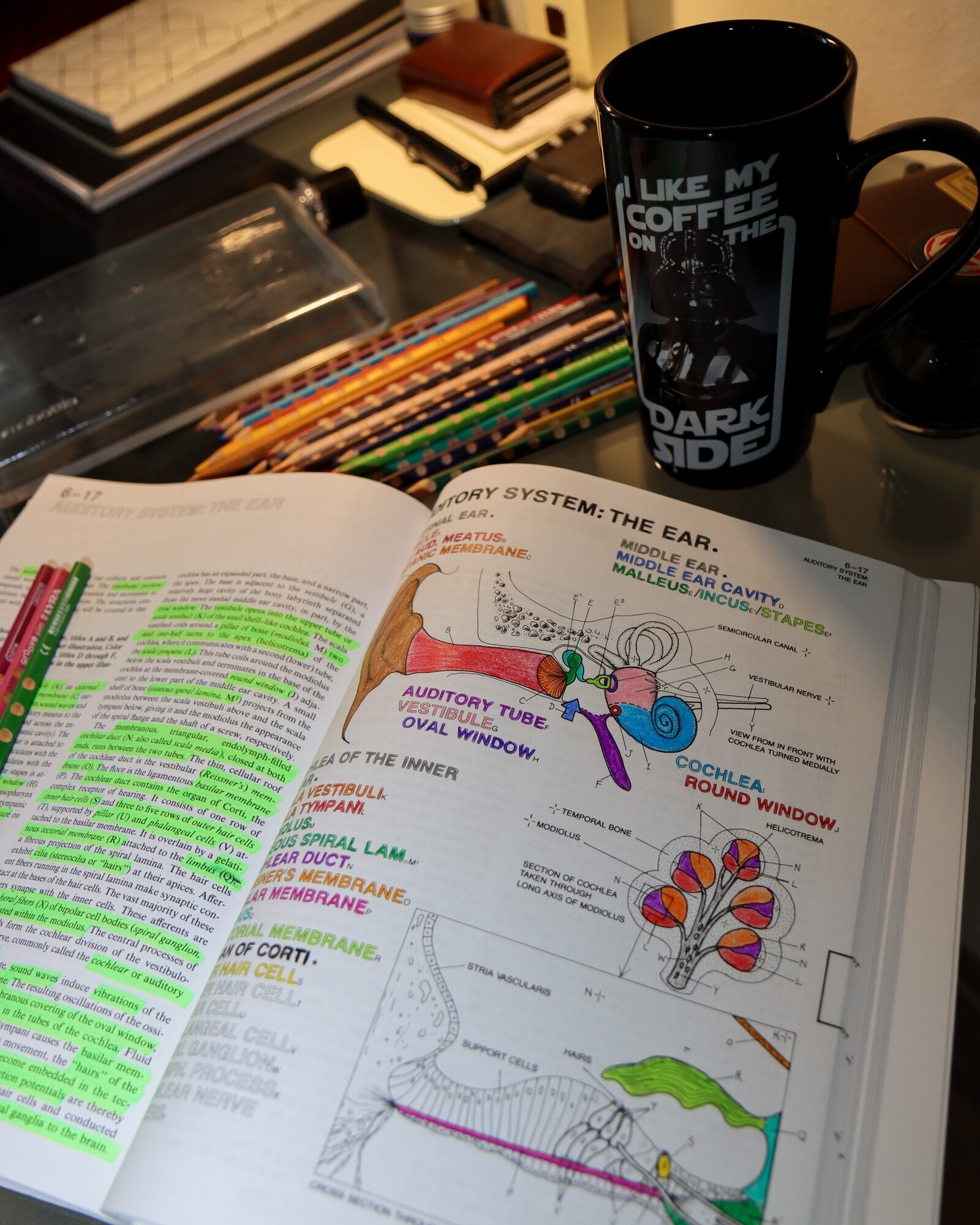 Bildet viser en fargeleggingsbok.