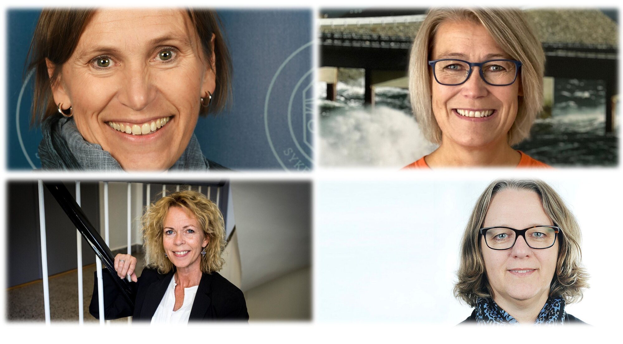 fire nye fylkesledere bildet viser fire nye fylkesledere