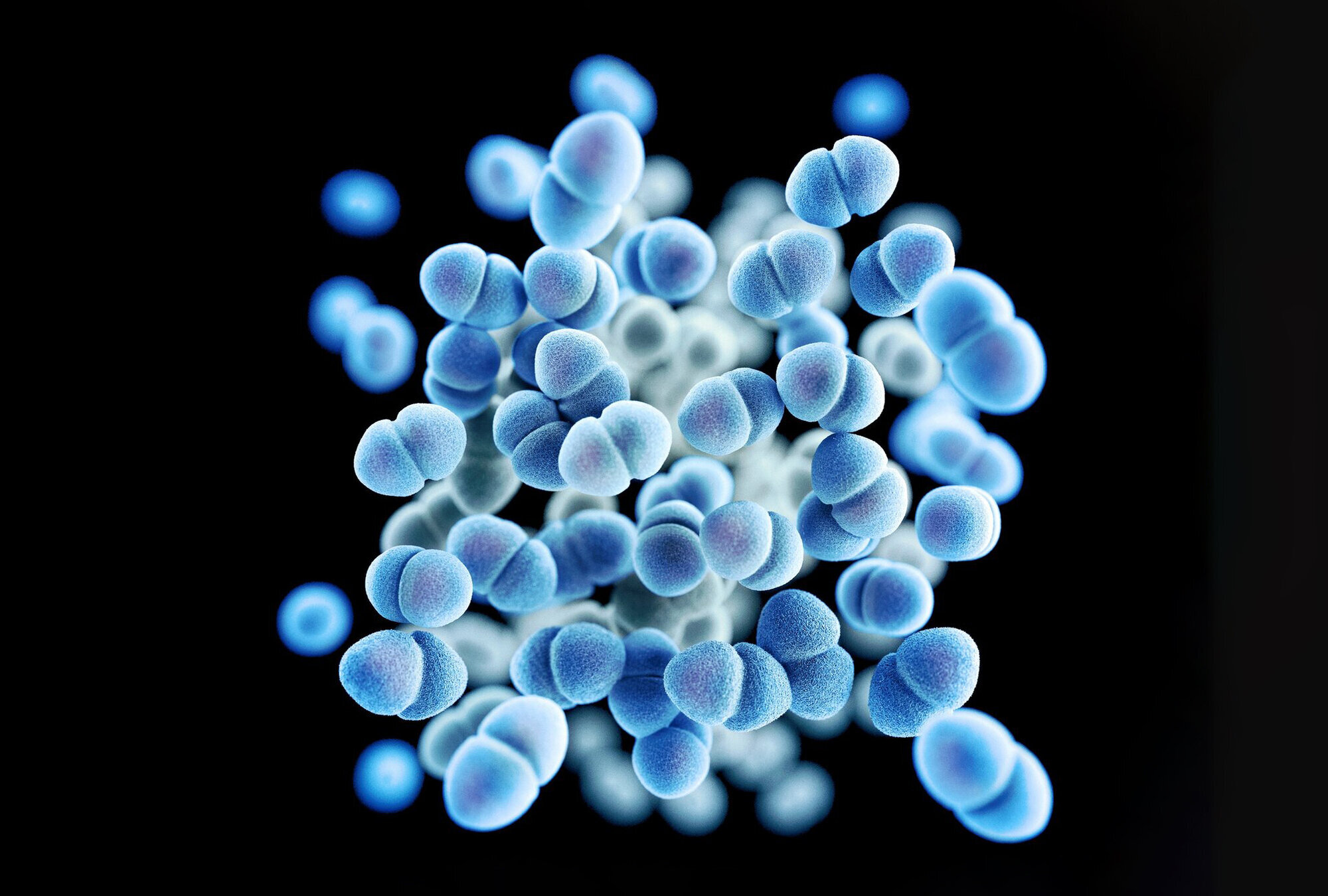 Bildet viser vankomycinresistente enterokokker (VRE)