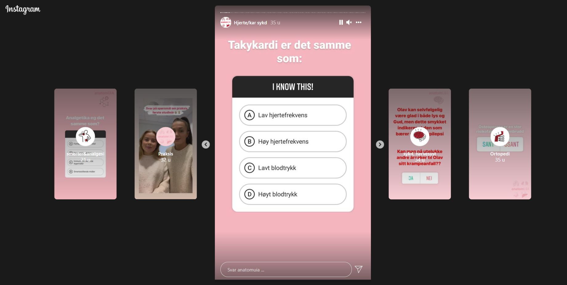 Bildet viser en skjermdump av story fra Instagram.