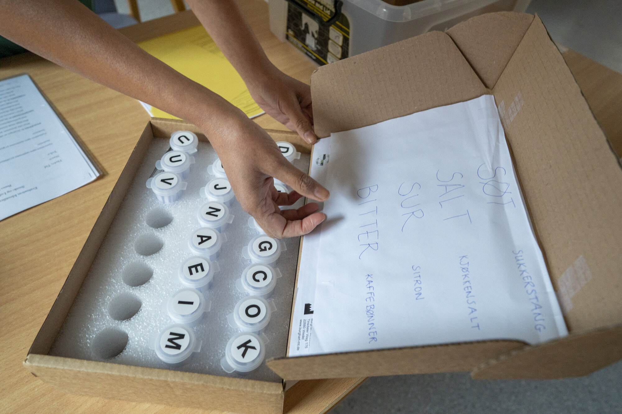 bildet viser opptrening av luktesans