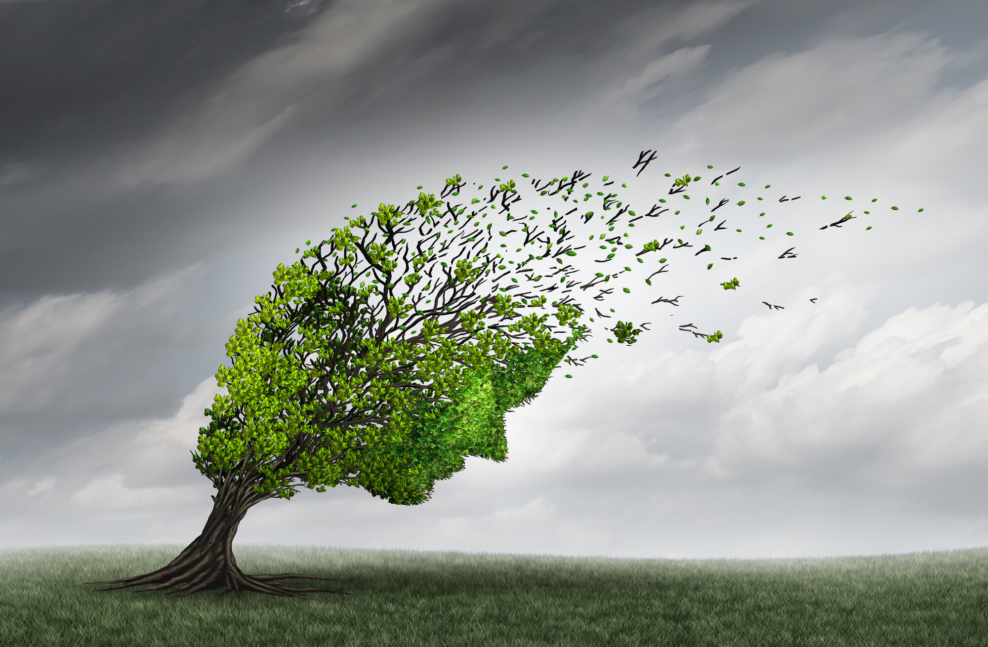 Et tre blåser i vinden